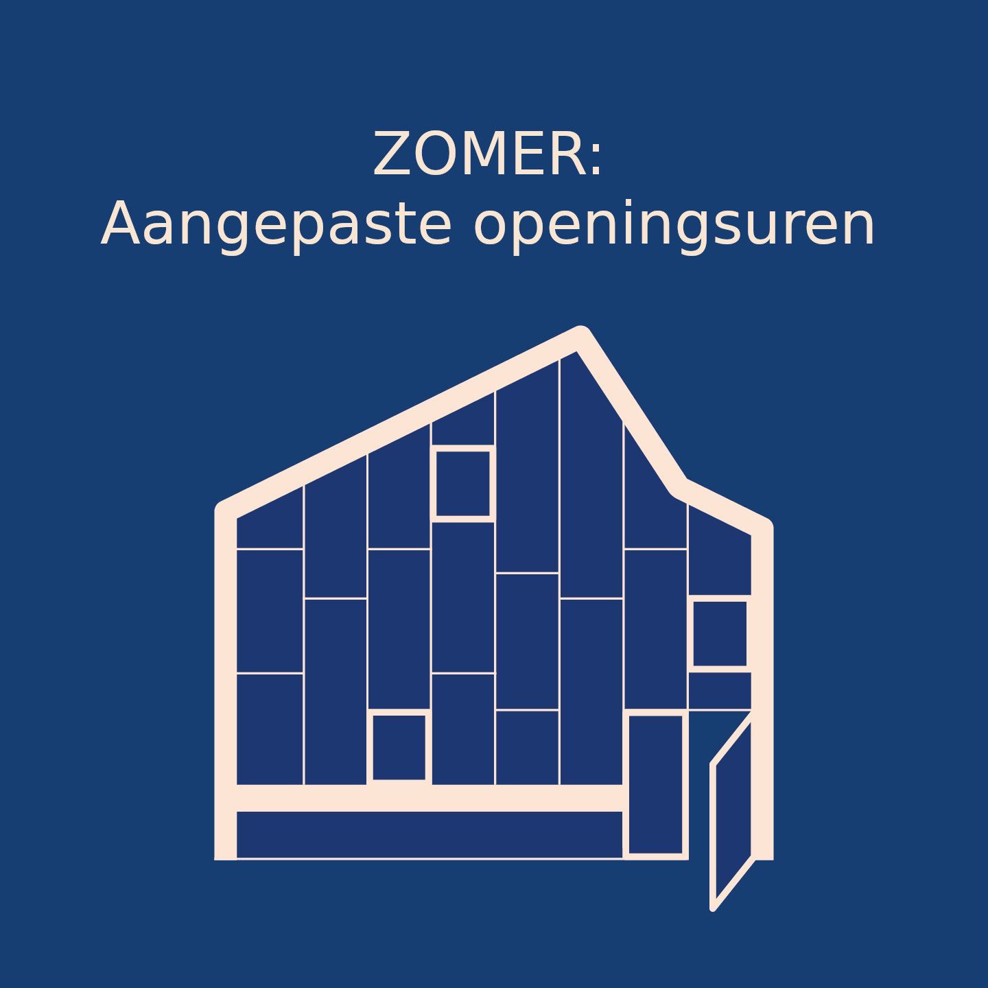 Odoo tekst en afbeelding blok